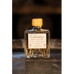 Calvados Romilly XO 7 ans 10cl