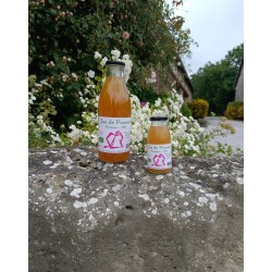 Jus de pomme BIO non...